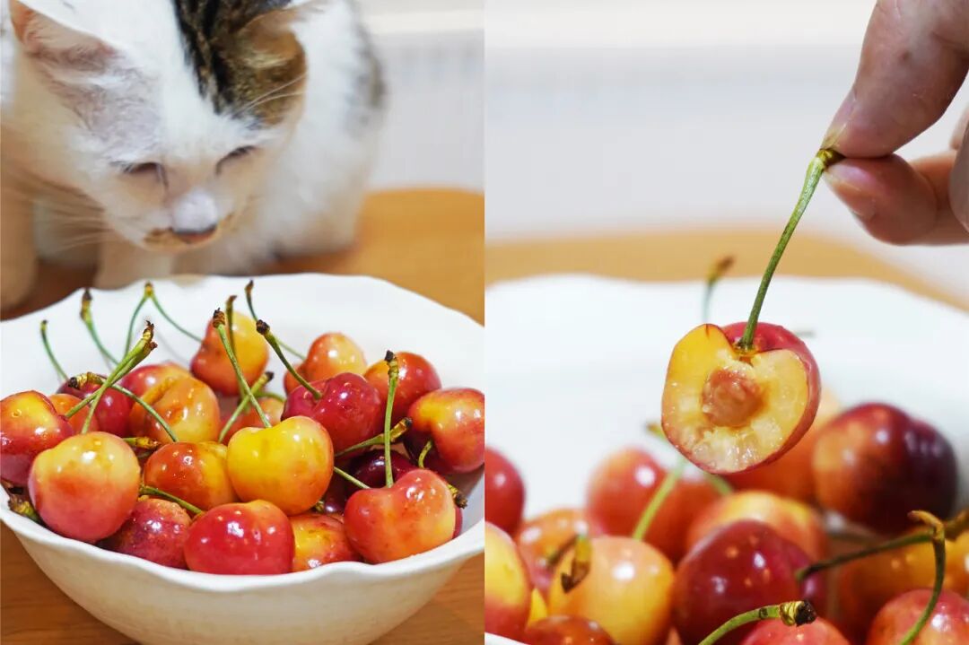 金皮苹果在哪买_买苹果6s还是买苹果7_苹果6跟苹果6s买哪个好