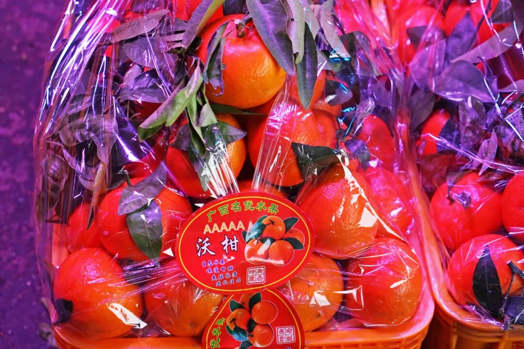 苹果6跟苹果6s买哪个好_金皮苹果在哪买_买苹果6s还是买苹果7