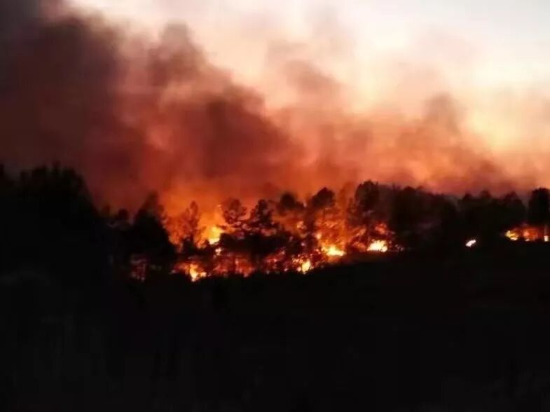 森林 火災 原因