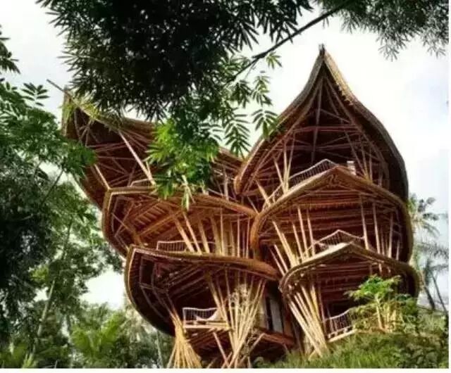 她辞职去巴厘岛，建了一座全球最奢侈的村落……