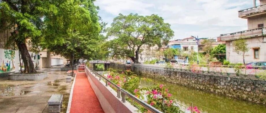 新一批江门市文明村镇名单出炉!看看有你的家乡吗?