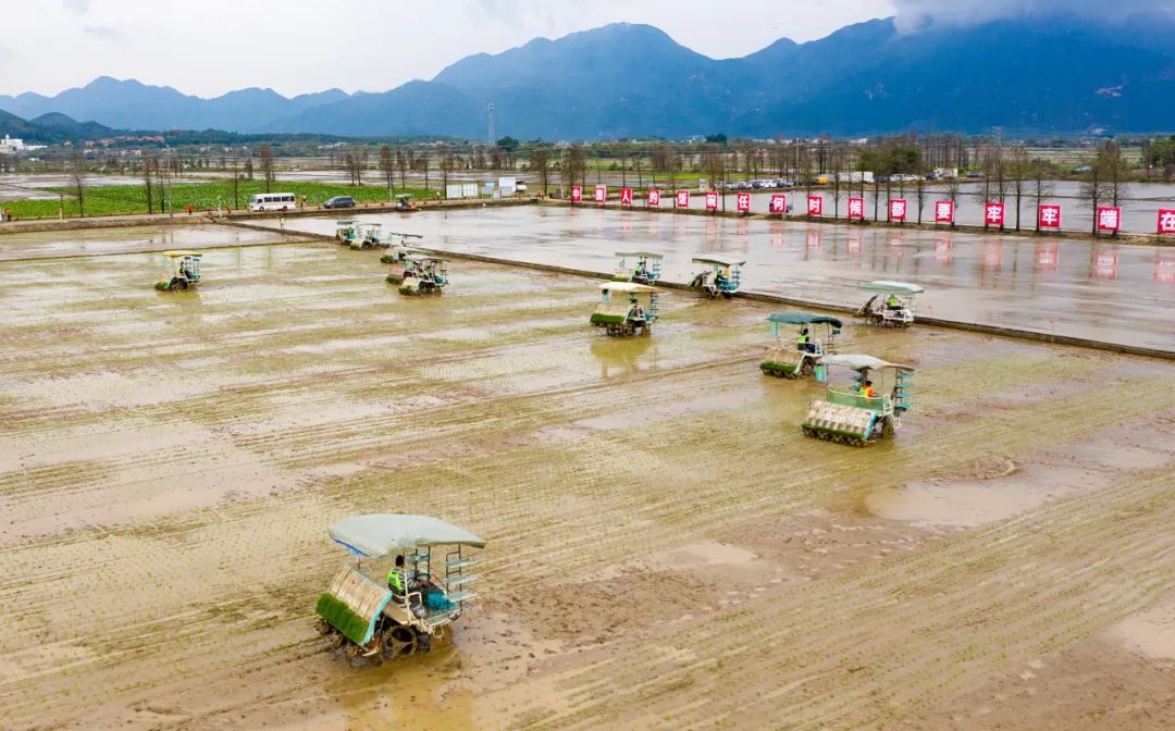 牢牢把住糧食安全主動權,推動掀起春耕生產熱潮,3月7日,2022年春季