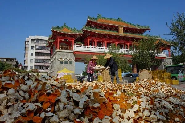 新会陈皮 郭永乐(16551147)-20250307084910.jpg