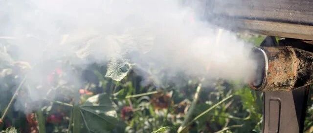 扩散！下月中旬起，江门全天禁行这类车！违者将被处罚