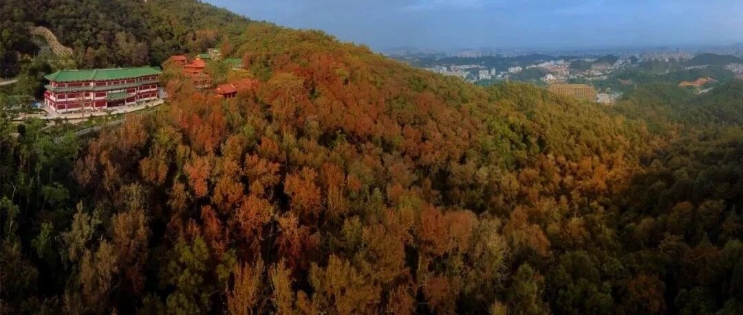 江门人注意，重阳登高千万别做这些事！要爬白水带、圭峰山的速看…