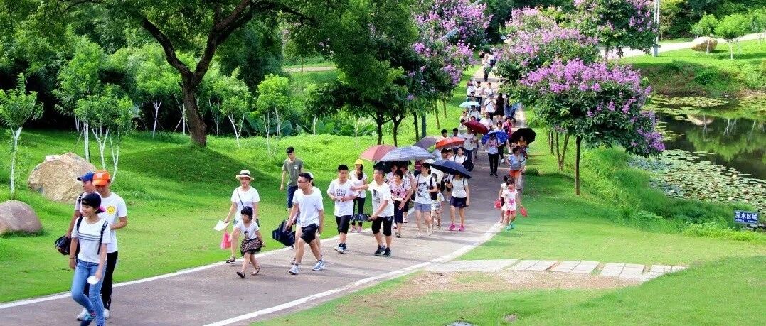 江门这条特色线路藏着无限惊喜，更有一路美食，周末约起！
