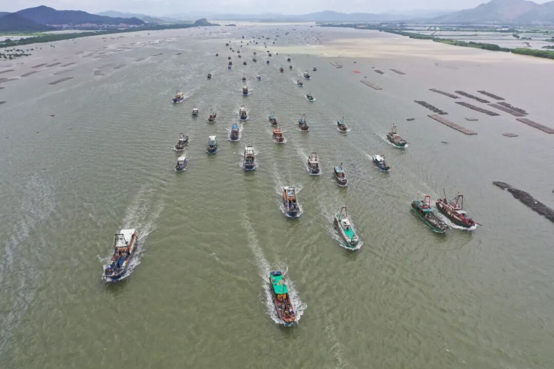 江门日报记者 郭永乐 摄