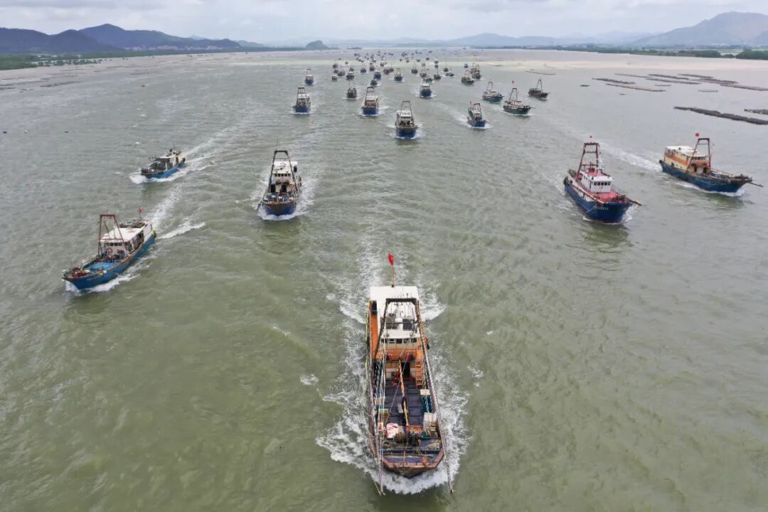 江门日报记者 郭永乐 摄