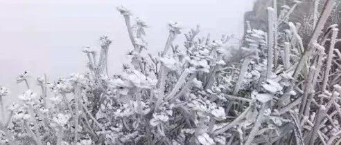 最低11℃！广东入冬？这次要一冷到底？先把泡温泉安排了！