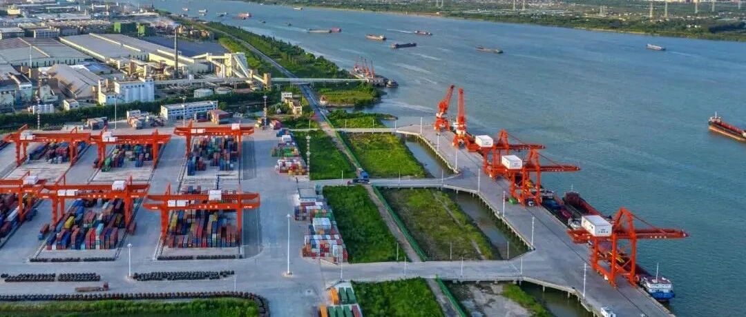 江门去年进出口增速全省第四，外贸规模再创新高！