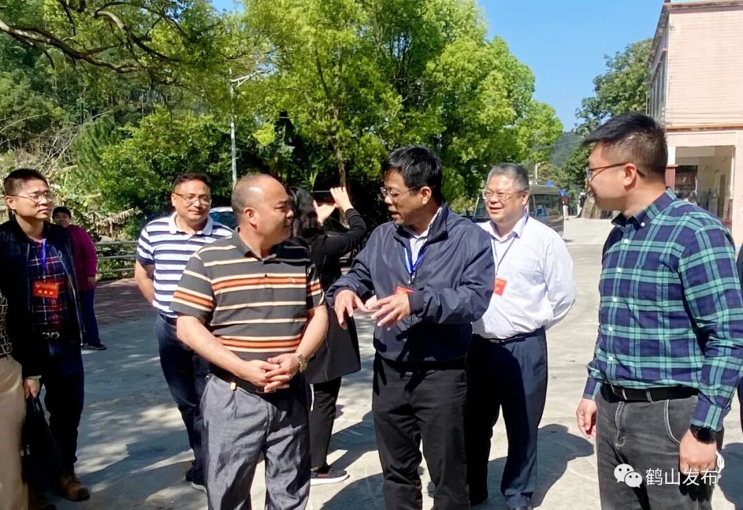 鹤山市开展乡村产业振兴专题调研活动