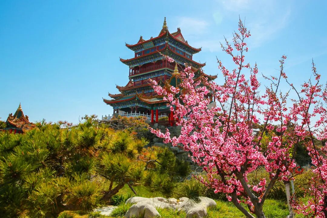 什么是快乐星球先一起看看蓬莱的春天有多xian吧