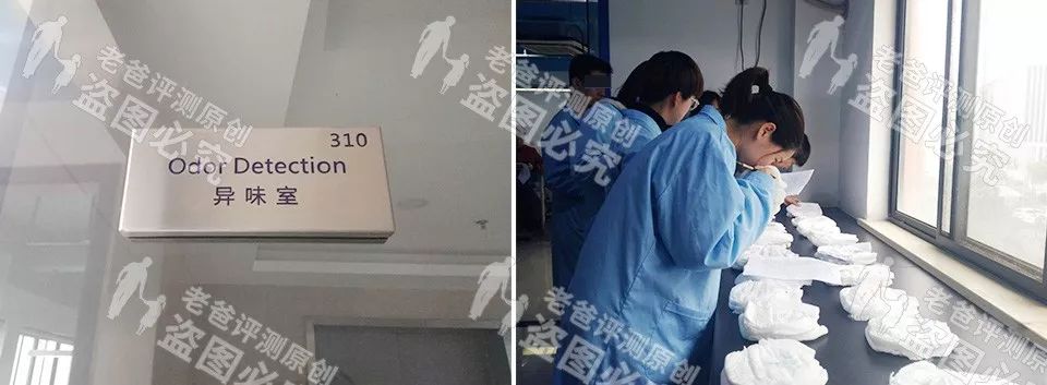 拉拉裤_裤拉拉是什么_艾尔登法环水母少女裤拉拉