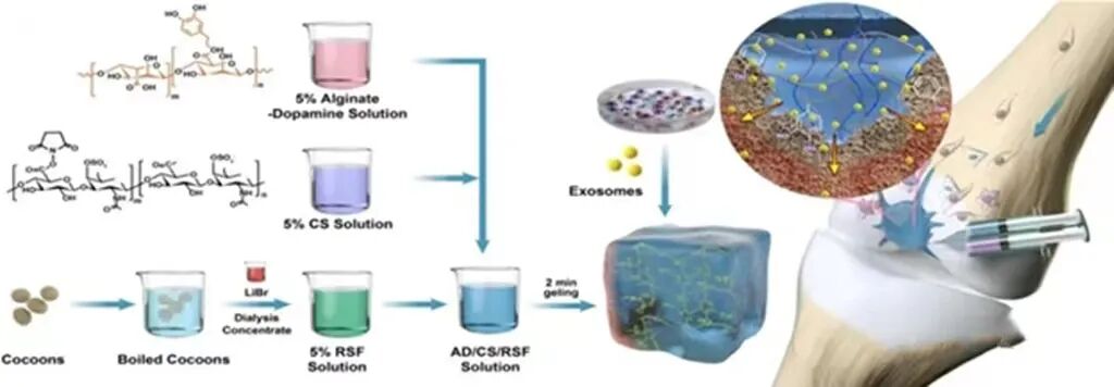 口腔敷料要怎么用医用敷料市场迎来快速发展期，一文汇总骨缺损、牙科、肌腱损伤等敷料领域的最新研究进展_https://www.jmylbn.com_新闻资讯_第18张