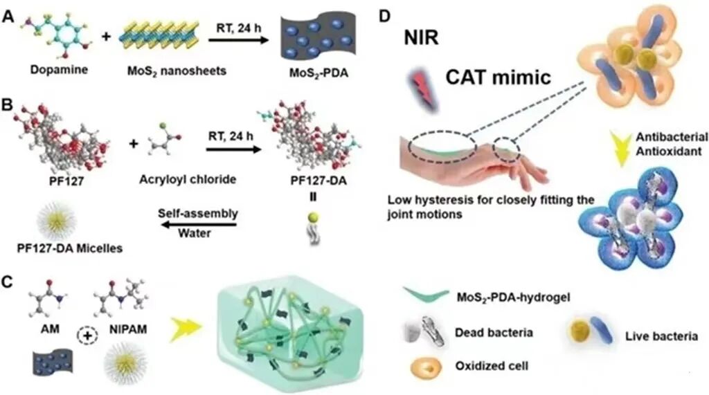 口腔敷料要怎么用医用敷料市场迎来快速发展期，一文汇总骨缺损、牙科、肌腱损伤等敷料领域的最新研究进展_https://www.jmylbn.com_新闻资讯_第15张