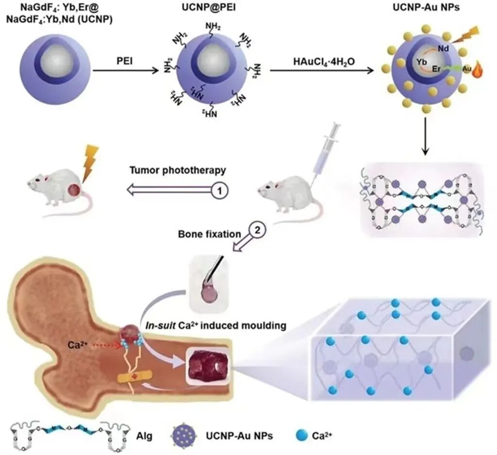口腔敷料要怎么用医用敷料市场迎来快速发展期，一文汇总骨缺损、牙科、肌腱损伤等敷料领域的最新研究进展_https://www.jmylbn.com_新闻资讯_第19张