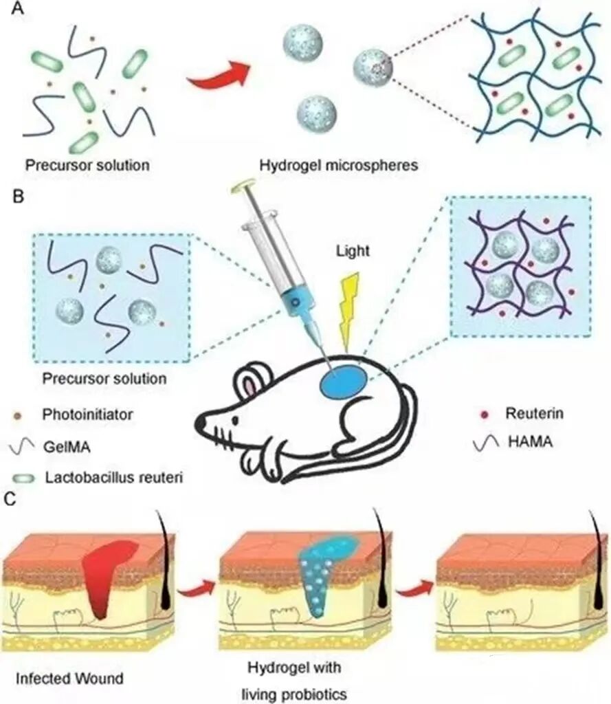 口腔敷料要怎么用医用敷料市场迎来快速发展期，一文汇总骨缺损、牙科、肌腱损伤等敷料领域的最新研究进展_https://www.jmylbn.com_新闻资讯_第16张