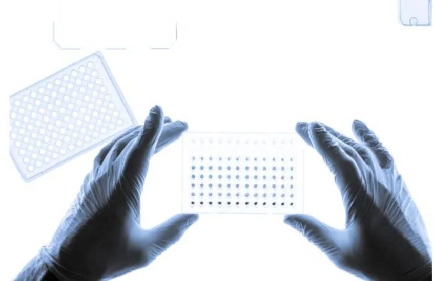 怎么掌握器械心外一文掌握心血管植入材料及器械最新研究与进展，涵盖人工血管、药物洗脱球囊等_https://www.jmylbn.com_新闻资讯_第16张