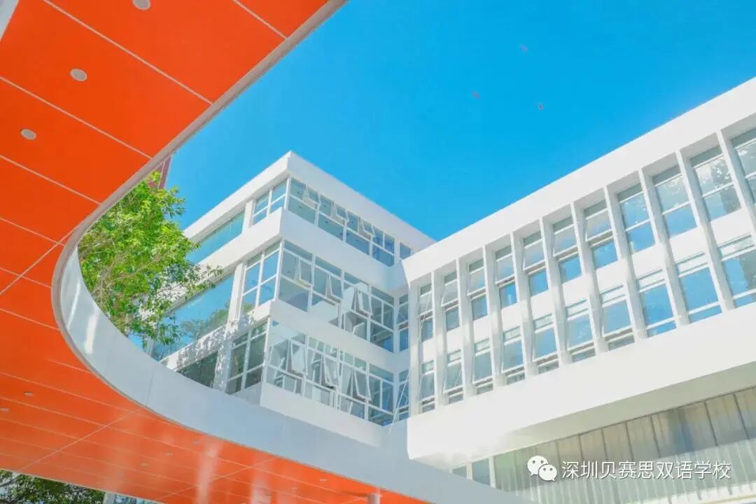 私立深圳學校有哪些_深圳私立學校_私立學校深圳