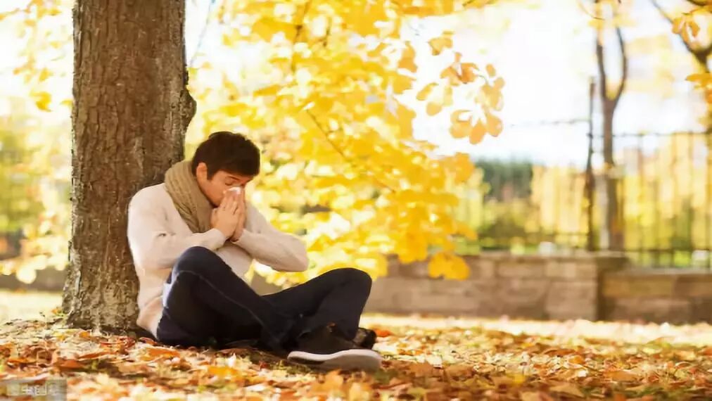 你知道过敏性鼻炎对不同患者的危害有哪些么？