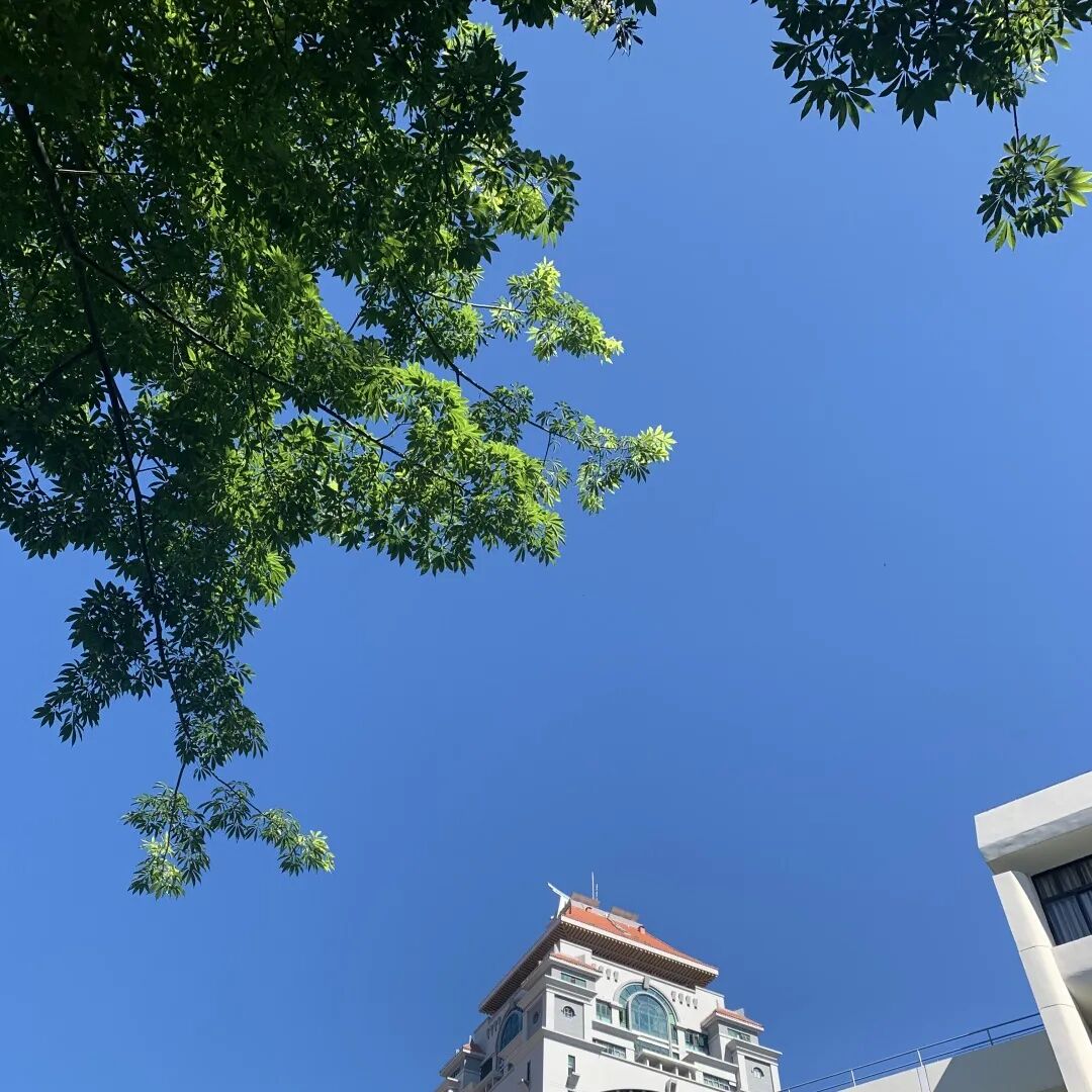 厦大财务处 厦门大学信息学院2020级研究生新生入学须知