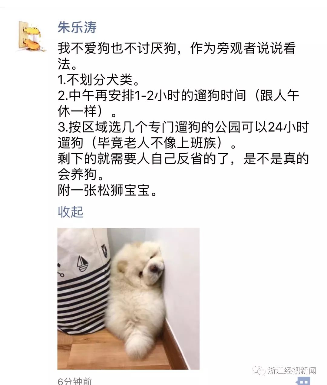 舒一条 犬类专项整治不能完全站在反对养狗者一边 浙样红tv 微信公众号文章阅读 Wemp