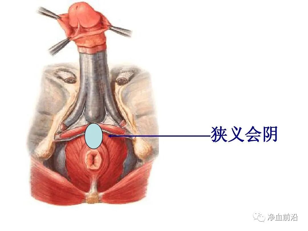 半导体激光治疗仪怎么样半导体激光治疗仪如何使用，什么是基础治疗，外照穴位说明！_https://www.jmylbn.com_新闻资讯_第17张