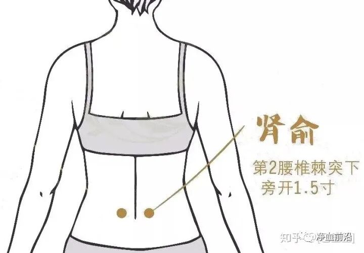 半导体激光治疗仪怎么样半导体激光治疗仪如何使用，什么是基础治疗，外照穴位说明！_https://www.jmylbn.com_新闻资讯_第16张