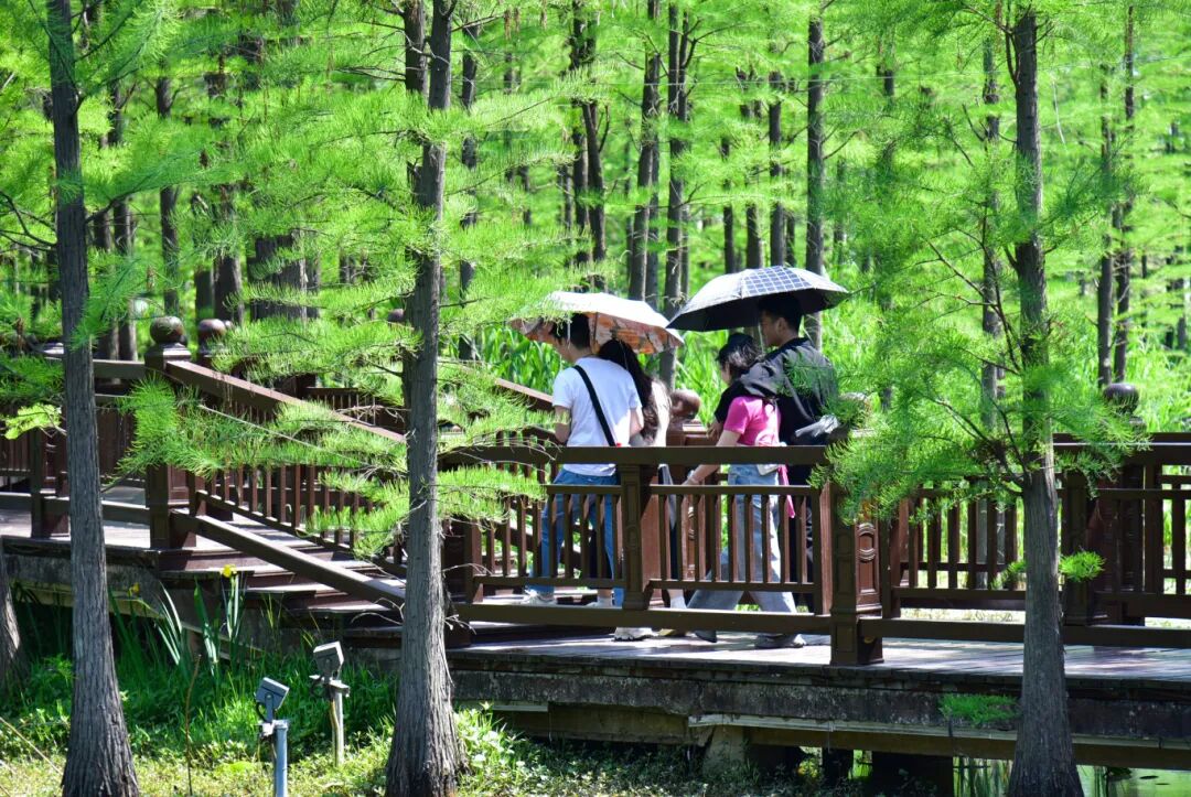 徐州潘安湖湿地公园持江苏旅游年