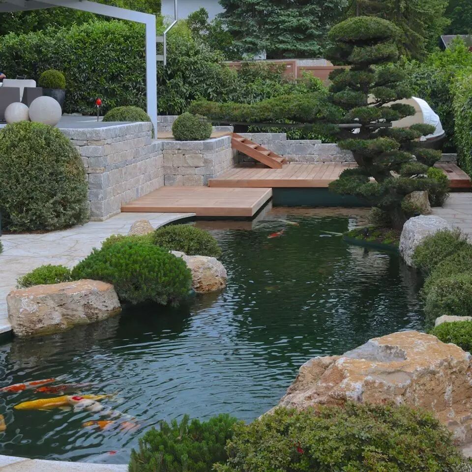 实例豪气冲天的庭院锦鲤池不服不行