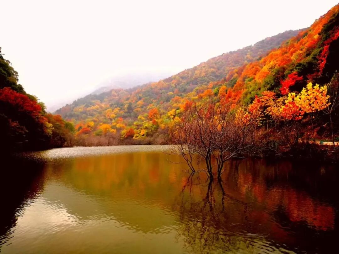 绛北大峡谷门票免费啦！