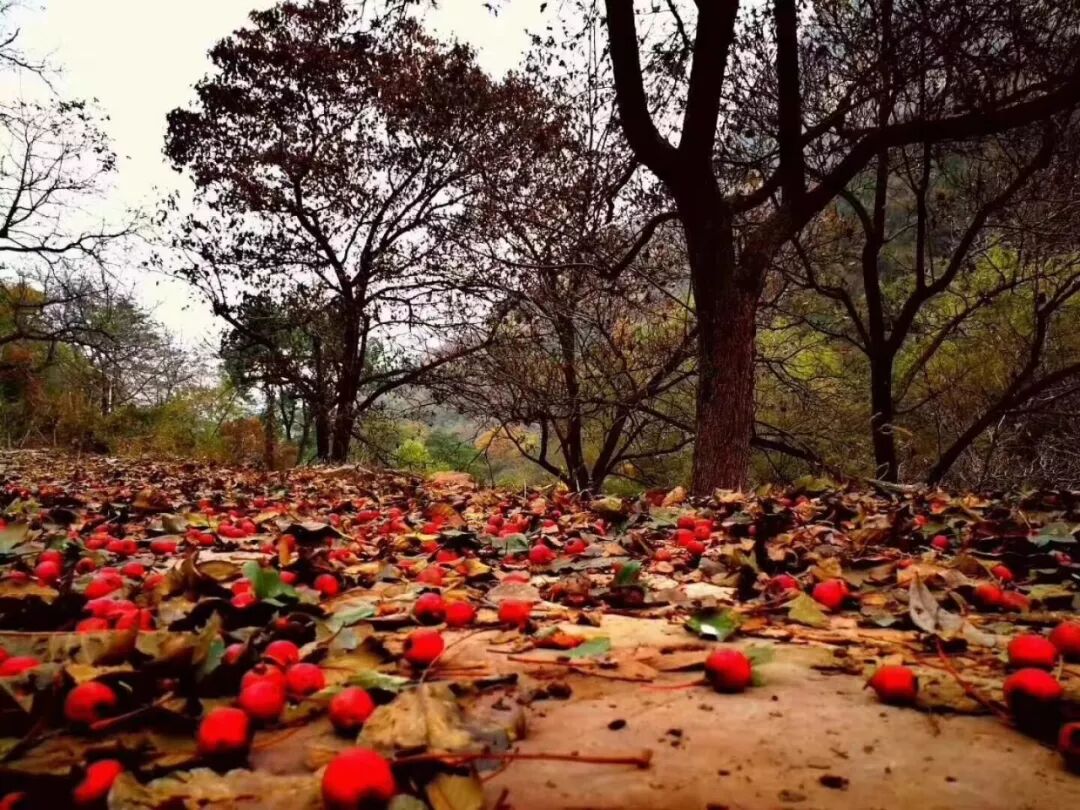 绛北大峡谷门票免费啦！