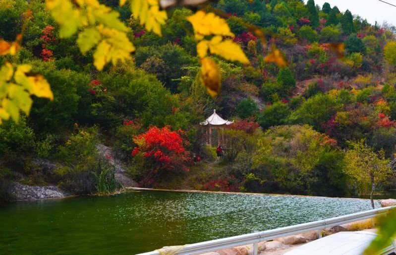 绛北大峡谷门票免费啦！