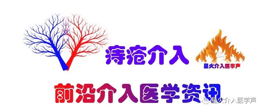 明胶在血管怎么降解不同栓塞颗粒在直肠上动脉栓塞慢性痔出血中的比较：明胶海绵与微球_https://www.jmylbn.com_新闻资讯_第2张