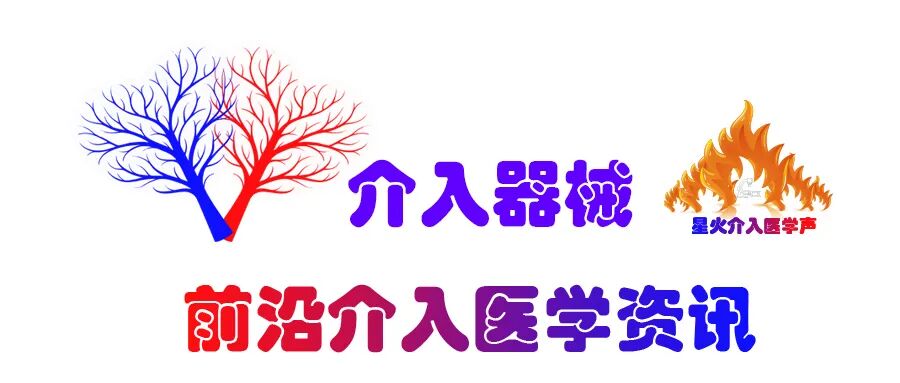 栓塞器材指的哪些栓塞剂简史和分类_https://www.jmylbn.com_新闻资讯_第2张