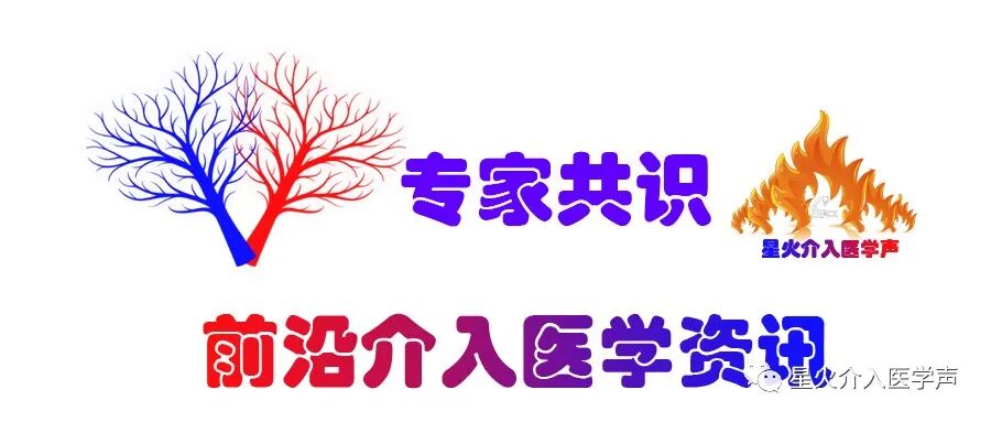 pta在医学上什么意思指南与共识｜下肢深静脉血栓形成介入治疗规范的专家共识（第 2 版）_https://www.jmylbn.com_新闻资讯_第2张