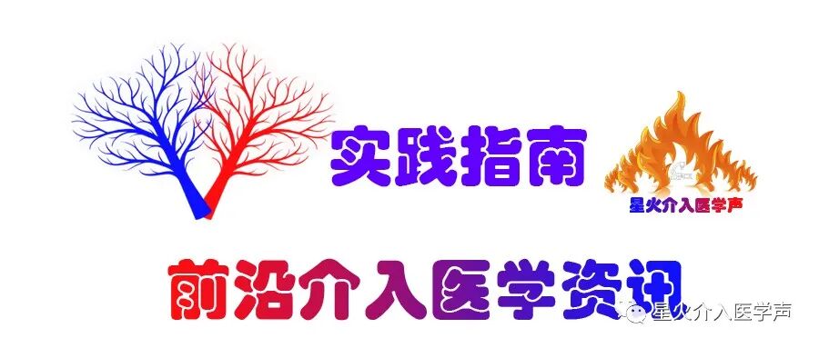 尿动力导管怎么好贵CIRSE 前列腺动脉栓塞术实践标准_https://www.jmylbn.com_新闻资讯_第2张