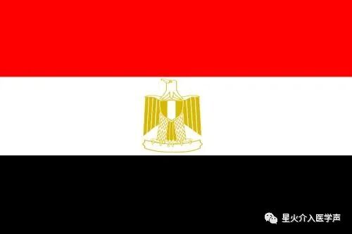 ESR在医学上什么意思介入放射学在世界各国中的地位_https://www.jmylbn.com_新闻资讯_第10张