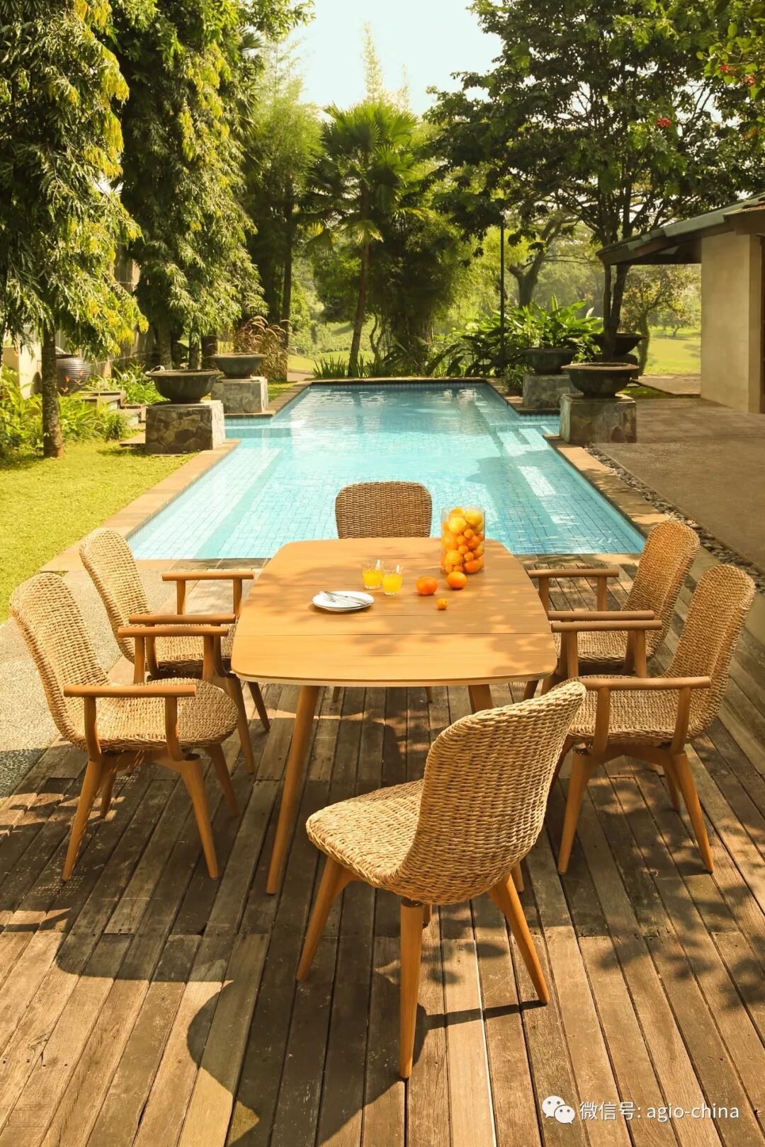 最美金秋〡不负光阴不负卿