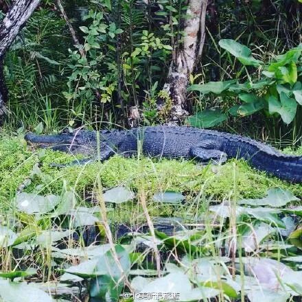 【旅游】迈阿密〡好看的家具千篇一律，有灵魂的家具万里挑一！