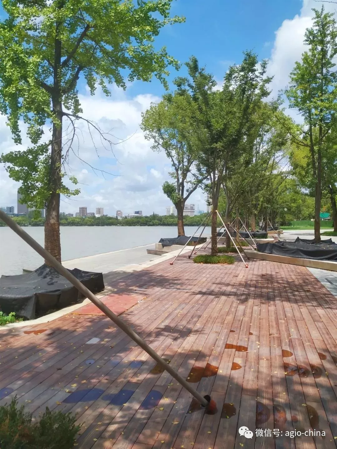 agiowood攜手嘉興南湖景區 ，打造國際品質湖濱空間