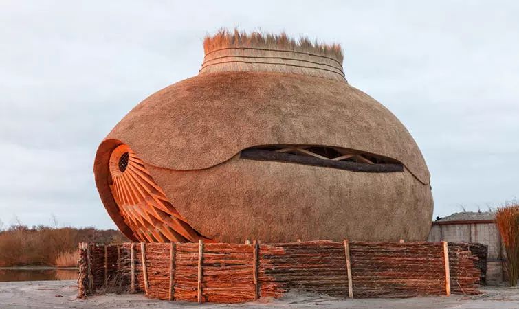 为鼓励人们探索自然荷兰建筑师设计了蛋形鸟类观测屋