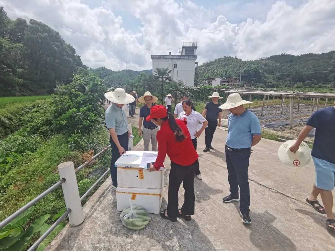 五云镇召开乡村振兴示范点流动现场会 | 赣县区信息公开