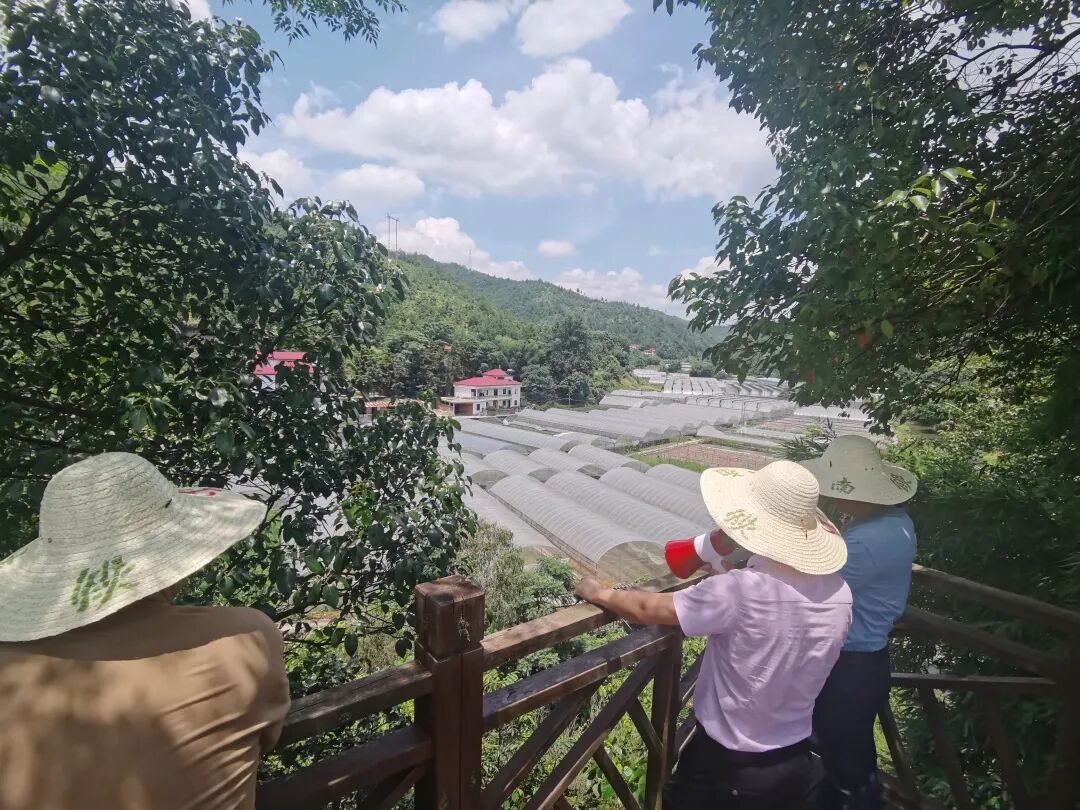 五云镇召开乡村振兴示范点流动现场会 | 赣县区信息公开