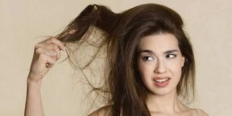 秋天还不养发？还要等到什么时候！