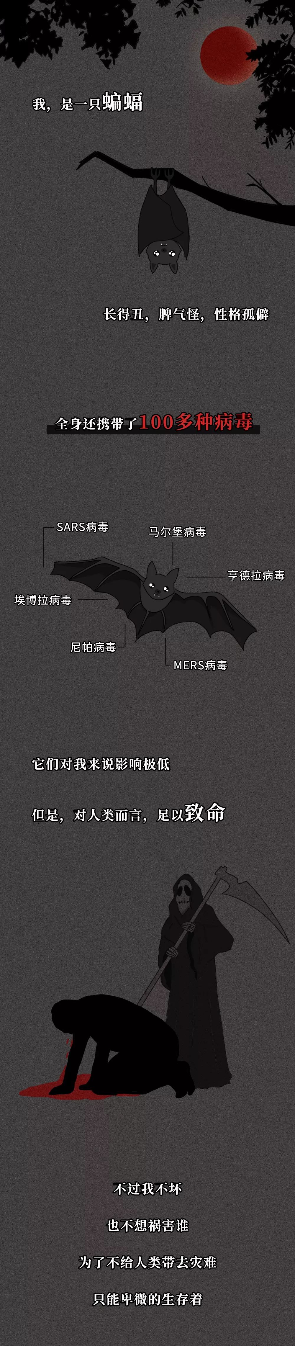 一只蝙蝠的自述在朋友圈火了 千万不要再吃野味了