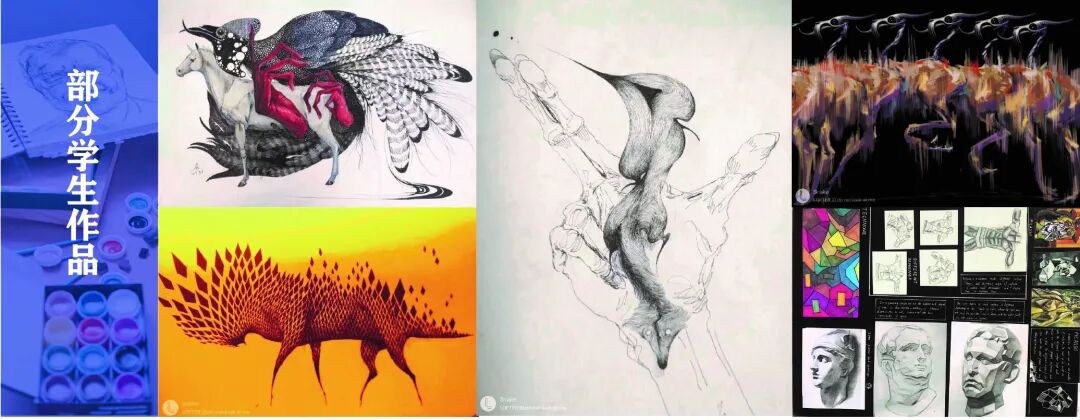 浙江常春藤艺术课程