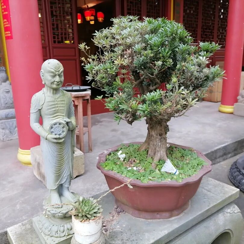 2024年1月8日内家功夫游——少林寺浙江分院台州妙严禅寺