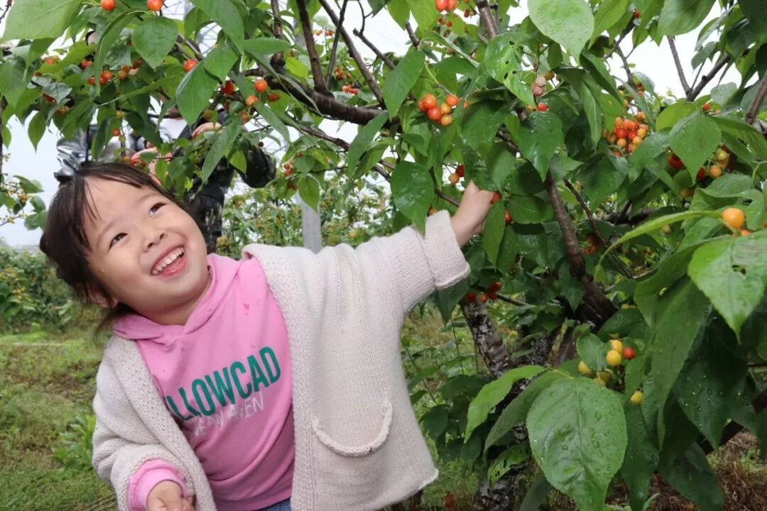 中国百强县江阴上榜 这两个地方又出名了