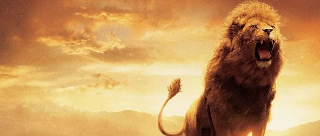 中超奇闻，队友互殴！雄狮可不是在队里吼的